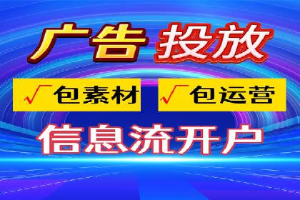 百度SEO推广策略全解析：某企业从零到一的成长历程